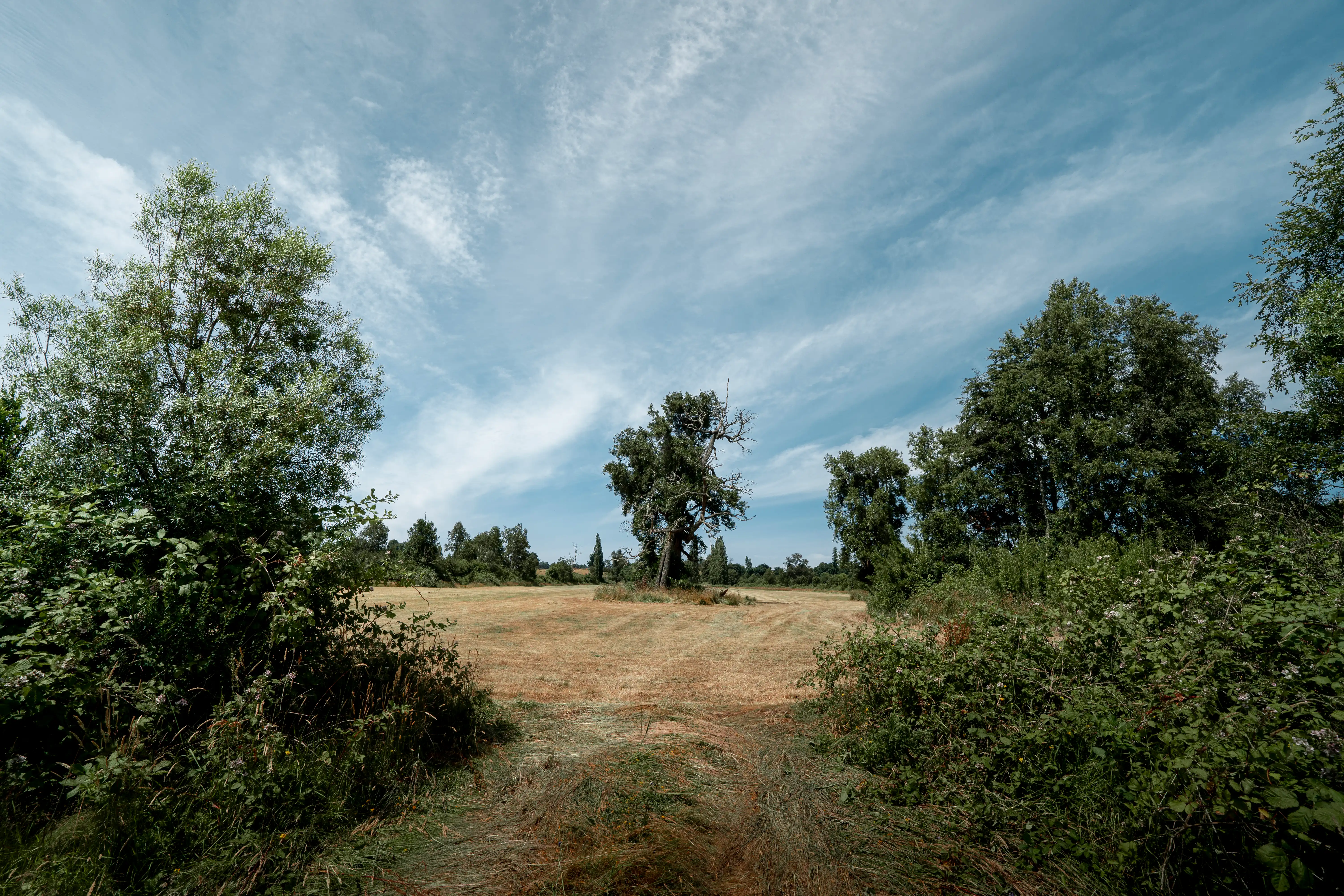 Aires de Puerto Nuevo